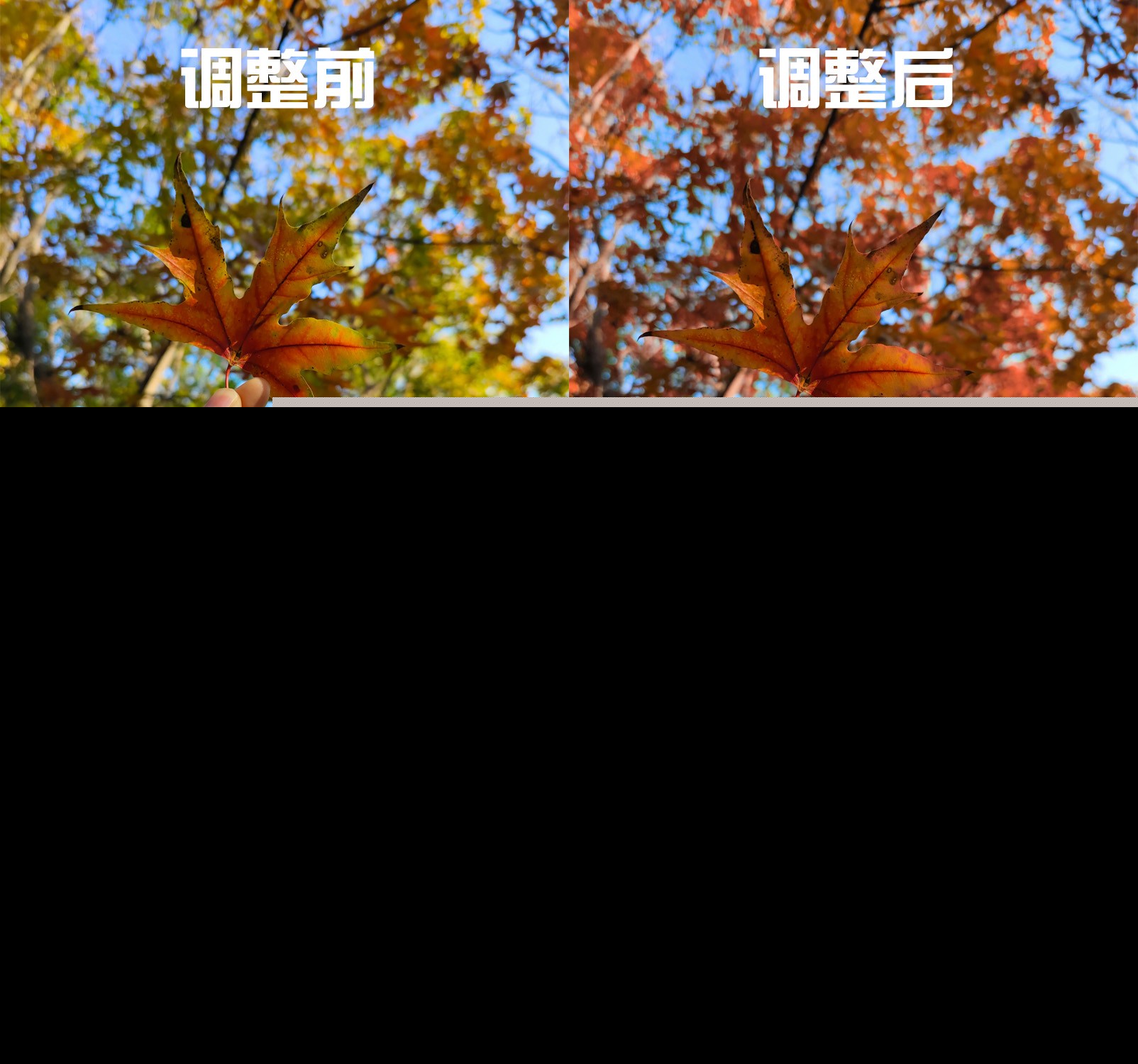 手机修图最经典好用的6款APP，必下！这么多年，都难以被超越