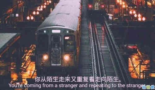 我选了你(精选26句)