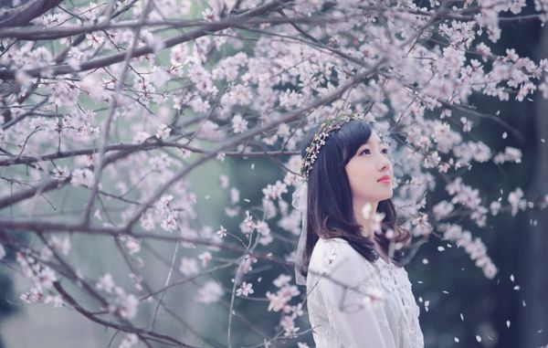 QQ空间说说伤感爱情语录(精选19句)