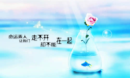 雨下了一夜的说说 雨下了一整夜发朋友圈的说说(精选22句)