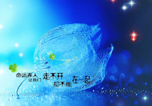 图片大全唯美伤感文字(精选15句)