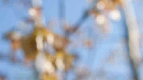 伤感说说简短戳心2020 被深深伤害过的说说