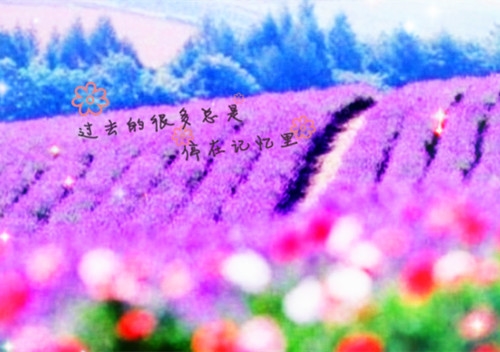 关于搞笑说说心情短语(精选34句)