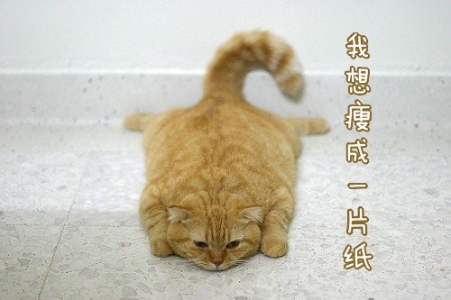 生日快乐说说送朋友 祝好朋友生日快乐的说说(精选51句)