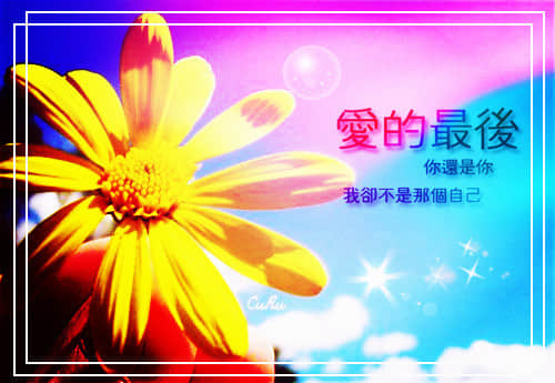 平安夜圣诞节寄语2021 平安夜圣诞节祝福语简短