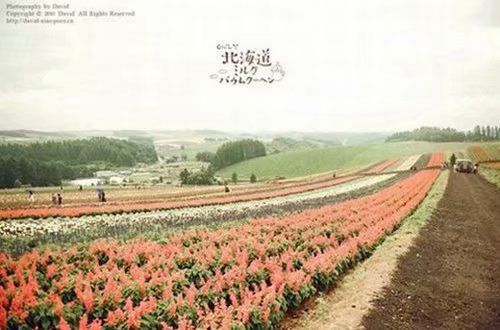 12月你好朋友圈说说大全 2021年的最后一个月说说