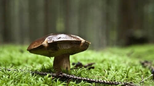 周末发朋友圈经典短句 周末一句话心情说说202