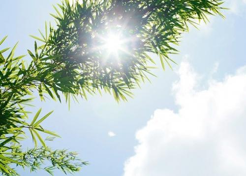 经典句子的说说 把握今天，设置明天，储存永远(精选19句)