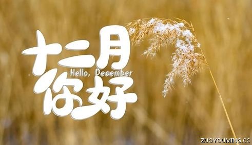 十一月再见十二月你好的优美句子(精选40句)