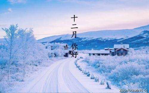 QQ空间情感语录说说(精选11句)