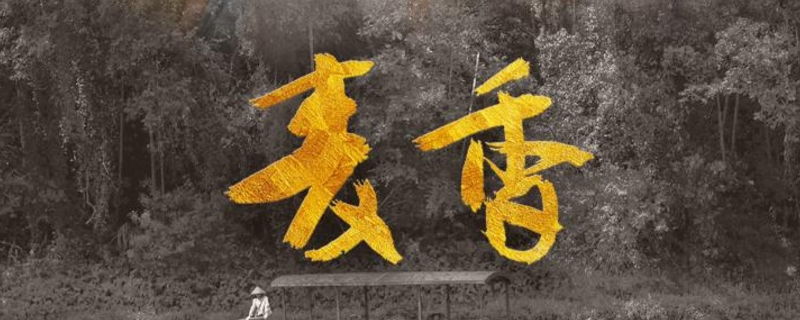 陶二兰的结局是什么 陶二兰的结局是什么