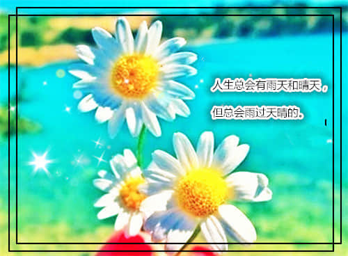 一句话说说简短独特 引人点赞的心情句子(精选23句)