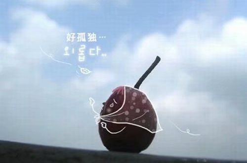 旅游心情愉快的句子 好心情旅游唯美短句(精选40句)