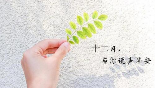 三八妇女节赞美的话 祝福短语大全(精选18句)