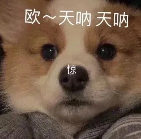关心人的短信 关心的男女朋友的短信(精选24句)