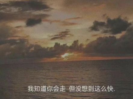 qq空间唯美图片说说大全 或许，最美的事不是留(精选12句)