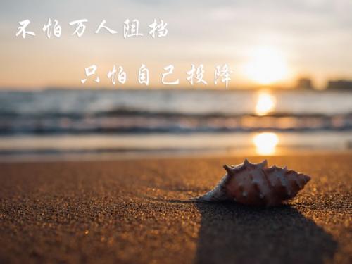 感慨自己很心疼的句子 心疼的句子说说心情(精选14句)