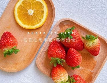 教师经典座右铭(精选39句)
