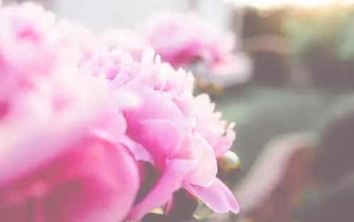 qq空间说说图片大全 精彩人生短语 你还有梦，明(精选15句)