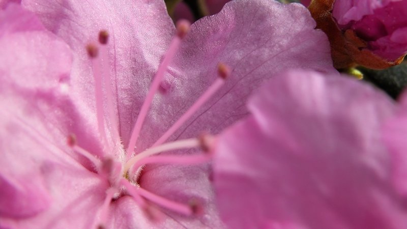 中秋节的优美句子合集(精选12句)