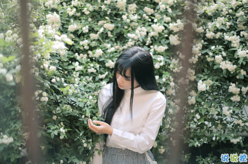 关于排比的优美句子(精选39句)