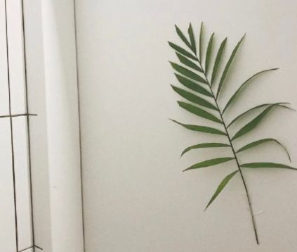 很有文化的高雅昵称 很有意义的内涵精选微信网(精选36句)