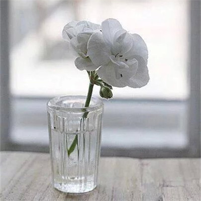 蓝瘦香菇说说 难受想哭的说说句子(精选20句)