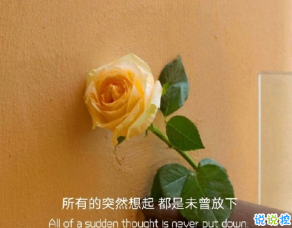 朋友圈晒花朵的优美文案 关于晒花朵的朋友圈(精选22句)