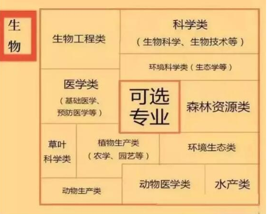新高考各科都对应哪些专业