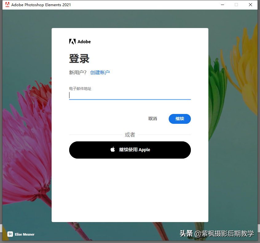 PS有摄影后期修图专用版本？Photoshop Elements 2021 全一键后期