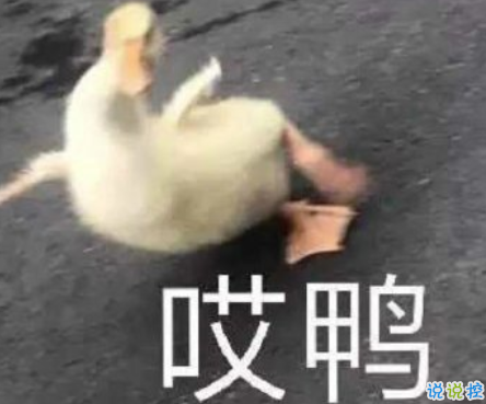 沙雕搞怪的朋友圈自拍文案 2021全新有趣的自拍文