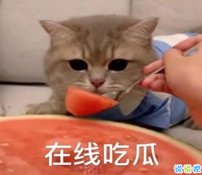 吃瓜人朋友圈说说怎么发 微博吃瓜人有趣说说带(精选11句)