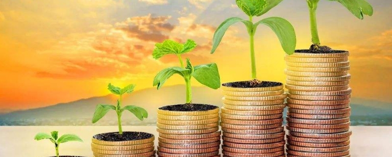 支持是什么意思 支持是什么意思