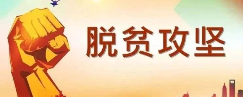 三保障的理解