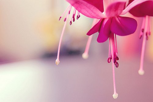 QQ空间情感伤感的句子说说(精选16句)