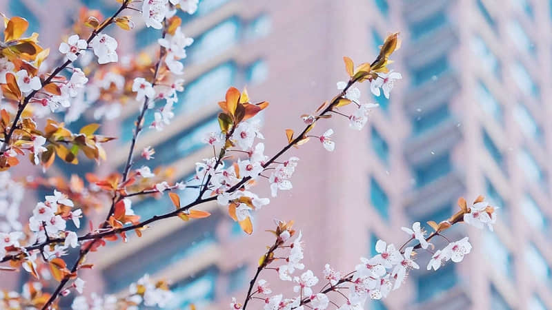 2021朋友圈好的文案句子