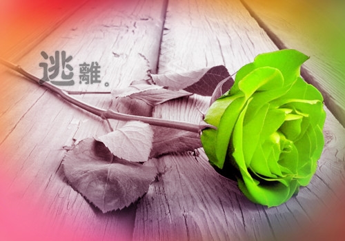 一句话经典晚安心语带图片(精选21句)