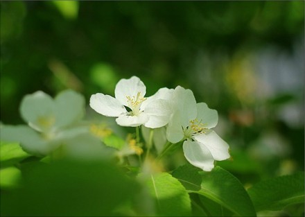 伤感的微信签名(精选30句)