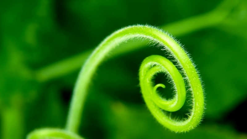 最潮最酷的个性说说(精选15句)