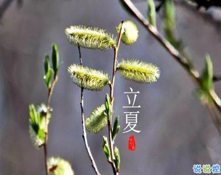 2021立夏的心情说说 关于立夏的心情短句