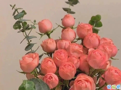 夏天的朋友圈该怎么发 很治愈干净的夏天文案(精选21句)