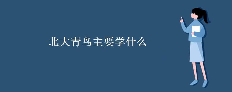 北大青鸟主要学什么