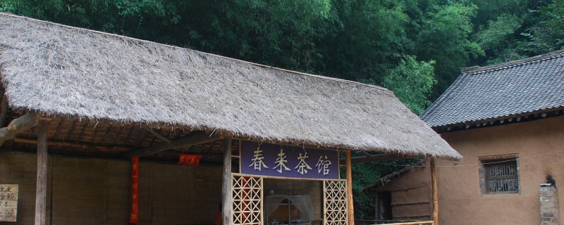 阿庆嫂的茶馆叫什么 阿庆嫂的茶馆叫什么