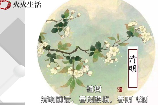 清明节的习俗