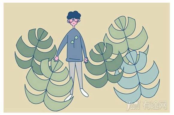 多肉植物多久浇一次水 一般是几天