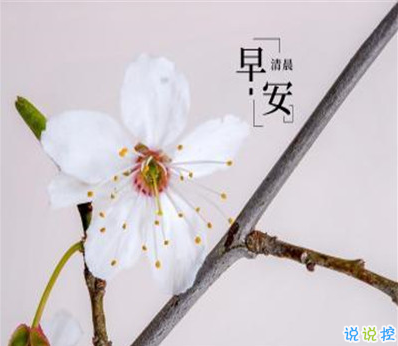五月第一天的早安励志说说 2021五月你好的正能量