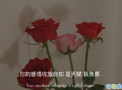 母胎单身狗的心情说说 单身没谈恋爱的心情句子(精选24句)
