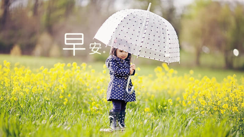 对爱情伤感绝望的句子(精选24句)