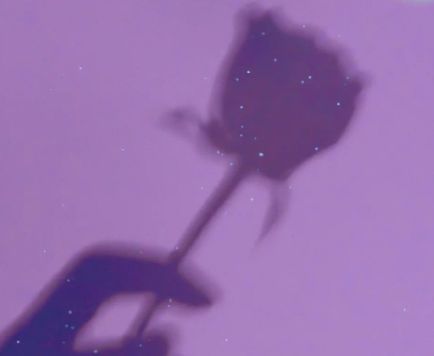 心死的句子说说 谢谢你的冷落，和你的欺骗(精选16句)