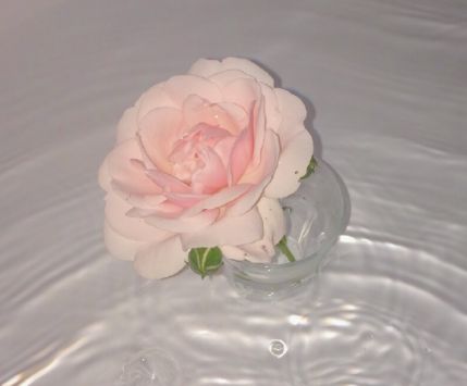 简简单单很朴素的微信昵称 微信网名简单质朴很(精选33句)